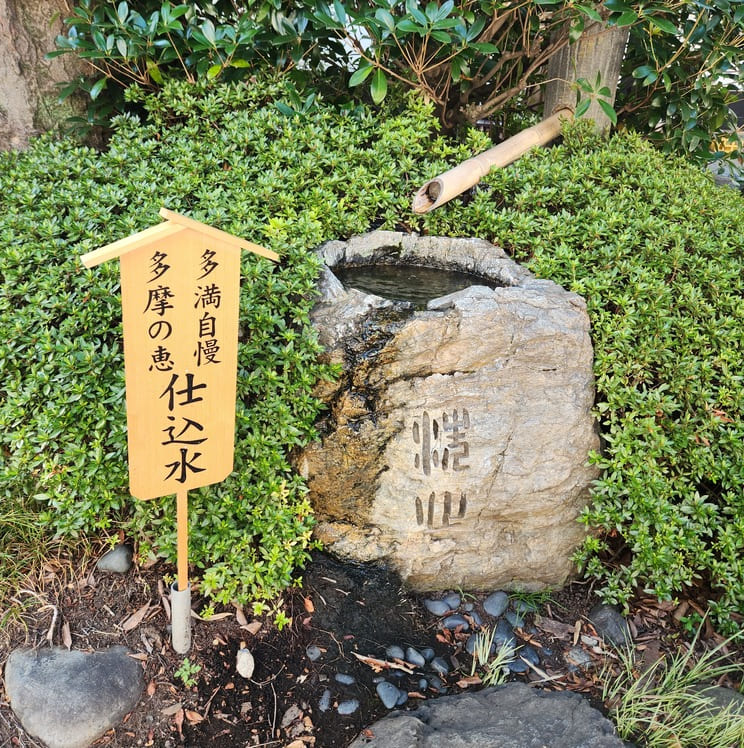 石川酒造さんのお酒を仕込む湧き水「仕込水」が竹の樋を通って石の上にしたたる様子の写真